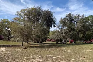 24605 and 24645 NE 177th Terrace, Fort Mc Coy, FL 32134 - Photo 61
