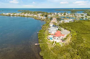 2115 Alexis Ct, Tarpon Springs, FL 34689 - Photo 91