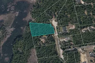 Chinaberry Way, Eustis, FL 32736 - Photo 1