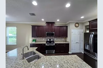 26921 Carolina Aster Drive, Wesley Chapel, FL 33544 - Photo 7