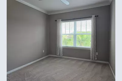 26921 Carolina Aster Drive, Wesley Chapel, FL 33544 - Photo 21
