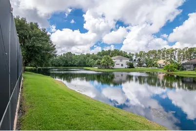 21228 Marsh Hawk Drive, Land O Lakes, FL 34638 - Photo 55
