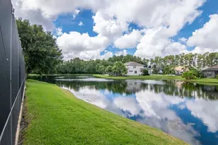 21228 Marsh Hawk Dr, Land O Lakes, FL 34638 - Photo 55