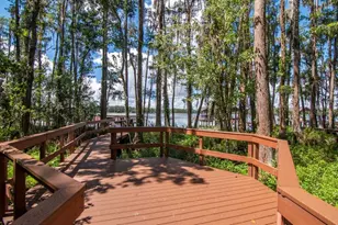 21228 Marsh Hawk Dr, Land O Lakes, FL 34638 - Photo 59