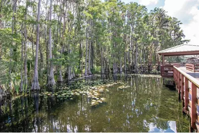 21228 Marsh Hawk Drive, Land O Lakes, FL 34638 - Photo 63