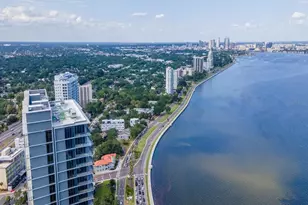 3101 Bayshore St, Tampa, FL 33629 - Photo 87