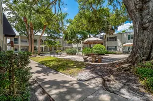 4335 Aegean Dr, Tampa, FL 33611 - Photo 31