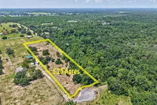 36931 Leslye Ln, Eustis, FL 32736 - Photo 1
