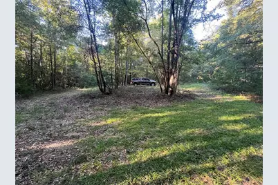 Old Federal Road, Quincy, FL 32351 - Photo 3