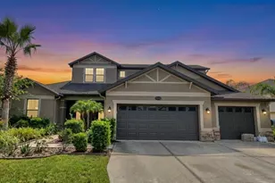 10619 Mistflower Ln, Tampa, FL 33647 - Photo 33
