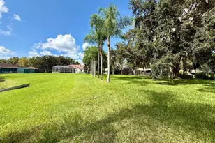 1103 Ballinger Rd, Lutz, FL 33548 - Photo 91