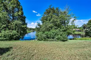 802 Centerwood Dr, Tarpon Springs, FL 34688 - Photo 41