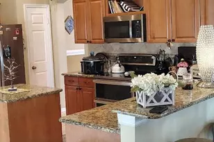 811 Sand Ridge Dr, Valrico, FL 33594 - Photo 11