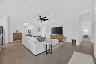 17509 Holly Wl Ave, Wimauma, FL 33598 - Photo 57