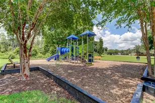 12755 Saulston Pl, Hudson, FL 34669 - Photo 59