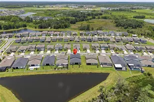 8908 Little Bluestem Dr, Land O Lakes, FL 34637 - Photo 47