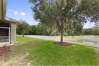 27816 Cobalt Lane, Wesley Chapel, FL 33544 - Photo 41