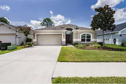 34424 Blue Ash Court, Wesley Chapel, FL 33545 - Photo 1