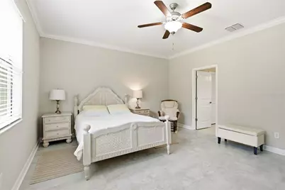 16936 Balance Cove, Land O Lakes, FL 34638 - Photo 5