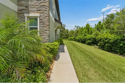 11166 Wishing Cloud Road, Land O Lakes, FL 34638 - Photo 5
