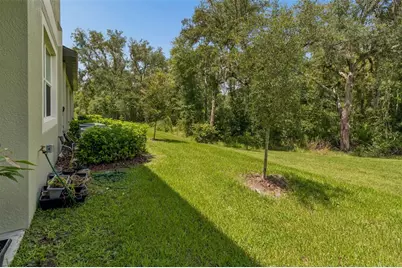 11166 Wishing Cloud Road, Land O Lakes, FL 34638 - Photo 41