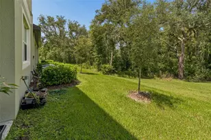 11166 Wishing Cloud Rd, Land O Lakes, FL 34638 - Photo 41