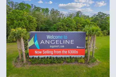 11166 Wishing Cloud Road, Land O Lakes, FL 34638 - Photo 85