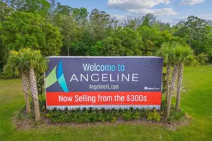 11166 Wishing Cloud Rd, Land O Lakes, FL 34638 - Photo 85
