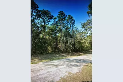 564 E Panama Drive, Citrus Springs, FL 34434 - Photo 3