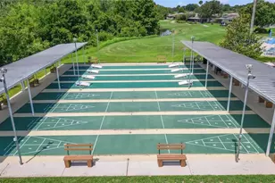 29545 Tee Shot Dr, San Antonio, FL 33576 - Photo 83