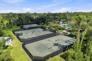 2340 Spring Hollow Loop, Wesley Chapel, FL 33544 - Photo 47