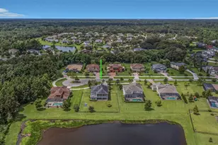 17807 Howsmoor Pl, Lutz, FL 33559 - Photo 69