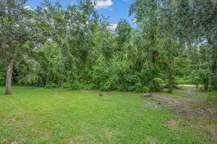 16012 Ternglade Dr, Lithia, FL 33547 - Photo 59