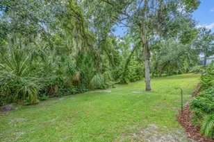 16012 Ternglade Dr, Lithia, FL 33547 - Photo 55