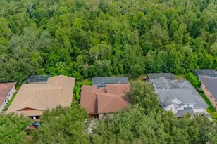 16012 Ternglade Dr, Lithia, FL 33547 - Photo 69