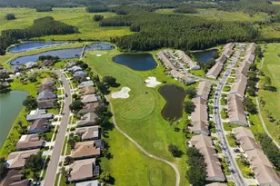 1236 Flora Vista St, Trinity, FL 34655 - Photo 51