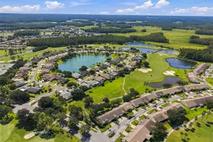 1236 Flora Vista St, Trinity, FL 34655 - Photo 59