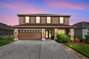17919 Ayrshire Blvd, Land O Lakes, FL 34638 - Photo 1