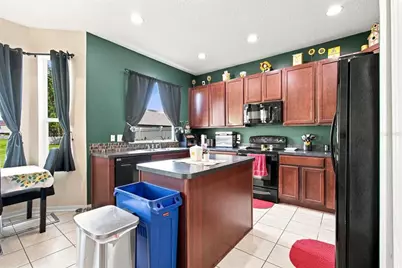 17919 Ayrshire Boulevard, Land O Lakes, FL 34638 - Photo 21
