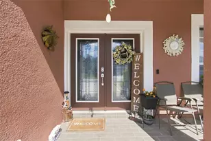 17919 Ayrshire Blvd, Land O Lakes, FL 34638 - Photo 7