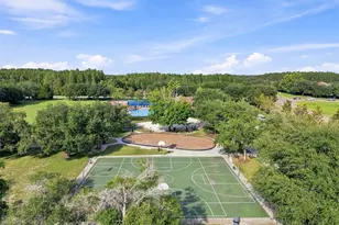 17919 Ayrshire Blvd, Land O Lakes, FL 34638 - Photo 67