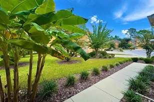 13943 River Willow Pl, Tampa, FL 33637 - Photo 9