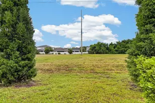 8669 Falling Blue Pl, Riverview, FL 33578 - Photo 59