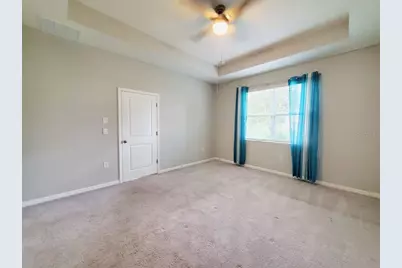 31457 Mango Fade Way, San Antonio, FL 33576 - Photo 15