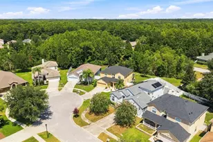 15731 Cedar Elm Terrace, Land O Lakes, FL 34638 - Photo 29