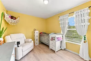 15731 Cedar Elm Terrace, Land O Lakes, FL 34638 - Photo 19