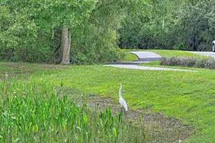 5720 Hawklake Rd, Lithia, FL 33547 - Photo 79