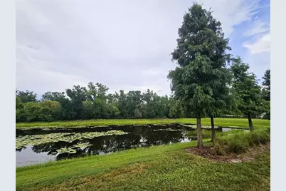 13251 Dupree Hills Place, Riverview, FL 33579 - Photo 37