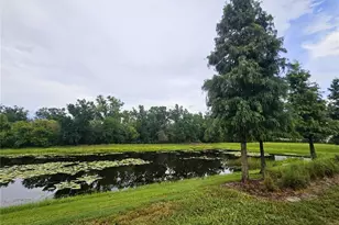 13251 Dupree Hills Pl, Riverview, FL 33579 - Photo 37
