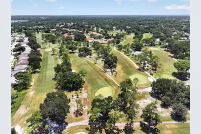1650 Highland Club Lane, Palm Harbor, FL 34684 - Photo 47